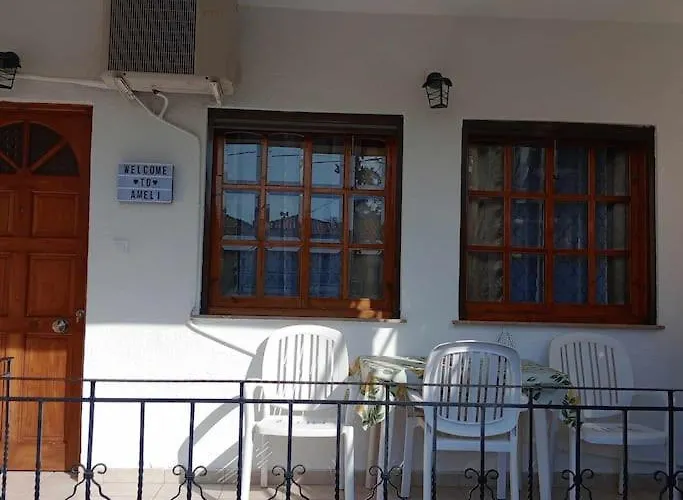 Ameli House *
