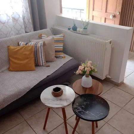 Apartament Ameli House