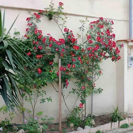 Ameli House * Néoi Epivátai